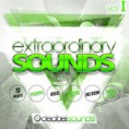 Decibel Sounds - Extraordinary Sounds Vol 1 - Sylenth1 .fxb